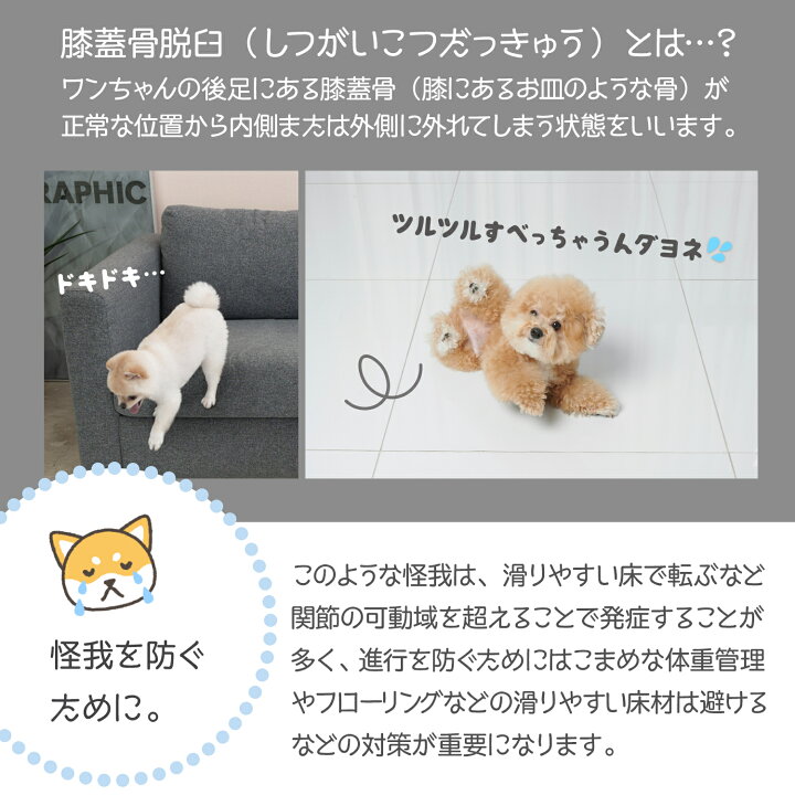 楽天市場 5 Offクーポン対象 ペット マット 床暖房対応 抗菌 滑り止めマット Dogzari ドッグマット 滑り止め 怪我防止 大判 フローリング 低反発 滑らない フロアマット 防水 犬 猫 おしゃれ カーペット Ecf02 ペット用 犬用 ペット用品 グッズ 犬用品 ふかふか ラグ