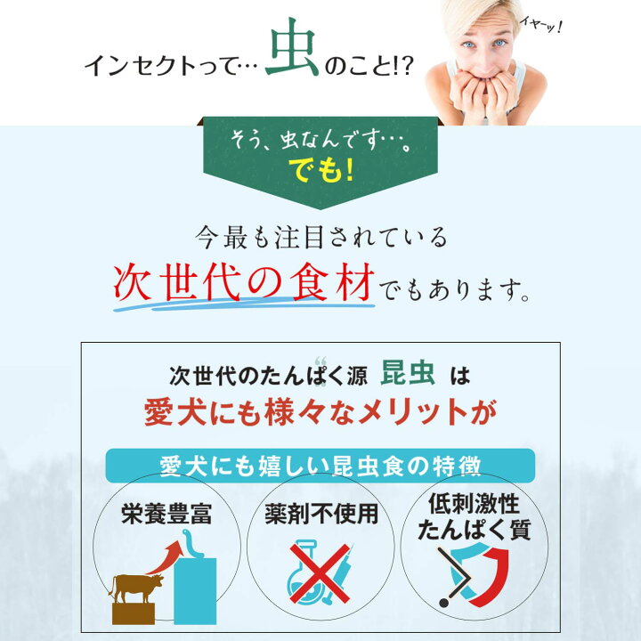 楽天市場 P3倍 最大1500円offクーポン ドッグフード アレルギー アレルゲンカット グレインフリー ミールワーム 犬 無添加 総合栄養食 ペット 目やに 皮膚ケア 抜け毛 犬 涙 やけ 小型犬 中型犬 大型犬 犬 おやつ おすすめ インセクトドッグmini 3個セット Gp01 3set