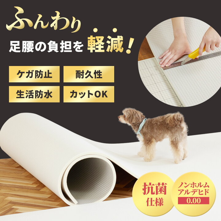 楽天市場】【10%OFFクーポン&P3倍】＼レビュープレゼント中／ ペット 