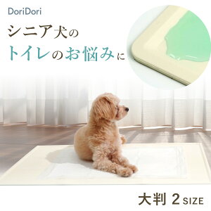 r[v[gI  gC gCg[ VR gC GbW VR}bg ^ p  gC gCg[jO  傫 Ch ybg}bg 