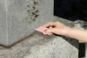 yViz AY} w݂ΐpx ΗpY~EV~ƂX|W PY656 oyj0otl