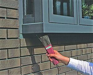 yViz AY} wa|ȂǂɁx 165 V_uV oyj0otl