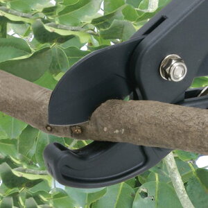 yViz g(SENKICHI) } ~j `Fbg 30mm܂ oyj0otl