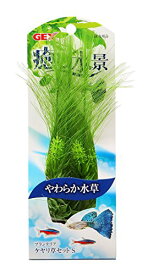 楽天市場 プランテリアの通販