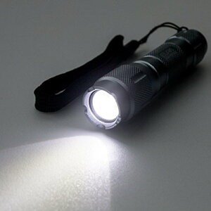 �y�V�i�z ELPA LED�A���~���C�g DOP-EP201 oyj0otl