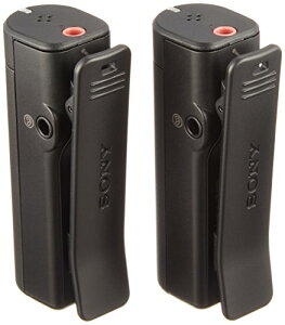 yViz \j[ SONY CX}CNz ECM-AW4 C 9n2op2j