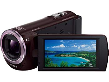 中古 18％OFF ソニー デジタルHDビデオカメラレコーダー ボルドーブラウン HDR-CX390 予約販売品 HDR-CX390-T