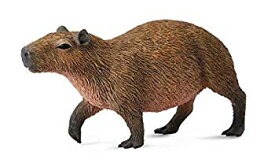 【中古】Collcta カピバラ tf8su2k