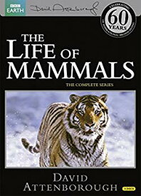 【中古】【非常に良い】BBC The Life of Mammals -哺乳類の世界- DVD-BOX (10エピソード 498分) BBC EARTH ライフシリーズ [DVD] [Import] [PAL 再生環境をご確認くださ i8my1cf