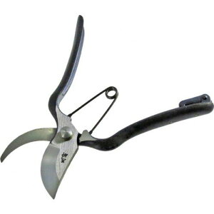 yViz Ԑ  ~ 200mm 9n2op2j