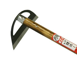 yViz ۈ WjA[z[ 1050 t 9n2op2j