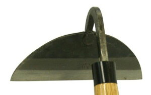 yViz ۈ Ў葐 |t oyj0otl