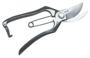 yViz hEJ  b ~ SF^ DK617 9n2op2j