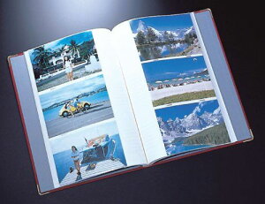 yViz SEKISEI Ao |Pbg n[p[nEX ~jbZX JPAo KGTCY 246e nKL 151~200 z u[ XP-247P wwzq1cm