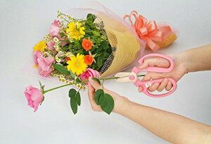 yViz ⌹ nhNG[V ×^Cv sN F-170 wwzq1cm