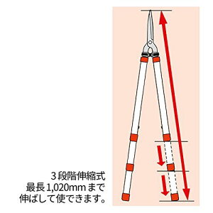 yViz AXR[|[V Lkyʋ͊ K-950Z wwzq1cm