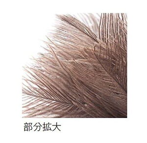 yViz eg MM _`En^L L oyj0otl