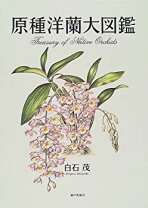 楽天市場】原種ラン図鑑の通販