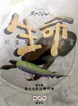 楽天市場】生命40億年はるかな旅（CD・DVD）の通販 