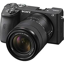 楽天市場】ソニー α6600 ilce-6600 ボディの通販