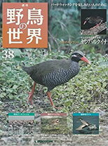 楽天市場】ヤンバルクイナ（本・雑誌・コミック）の通販 