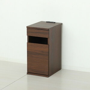 コンセント付ダストボックス ゴミ箱 ごみ箱 ペール ごみストッカー ダストボックス おしゃれ 収納 引き出し サイドテーブル ベッドサイド ソファー横 ベッド横 木製 北欧 リビング 2口コン