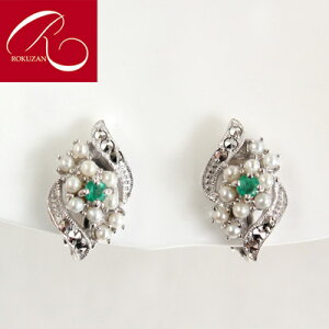 yX[p[Z[N[|LzyRz Vo[ Wp[CO sAX AeB[NfUC GhEV[hp[ Vo[Wp[ Vo[  t[p[ ^ p