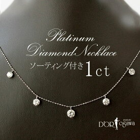 プラチナ ダイヤモンド 1カラット ステーション ネックレス Pt900 Pt850 Pt Dカラー Eカラー Fカラー SIクラス VeryGood Goodカット 5石 1.0ct 1キャラ グレード ソーティング 鑑定付 アジャスター付き チェン長さ調節可能