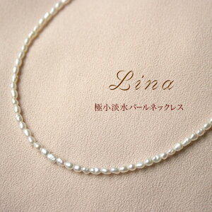 ycƓ[OKz ɏ Vo[ Wp[ lbNX Lina iVo[ AWX^[`F[ CXp[ W^ `F[lbNX y_g v[g  