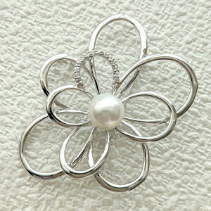 Vo[ W^ zCggp[Y t[u[`u[` Wp[ 1 RT[W ؂₩ 6a 30N Xg[s RT[W }}X[c JWA  t