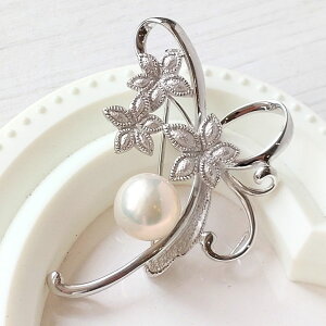 yŒZzzW ^ t[ Vo[ u[`10mm w  Wp[ ^XC^ ^XCp[ p[ tH[} ItBX [ LO a X[c  Xg[