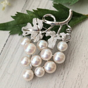 y10/30`11/3N[|LzyŒZzzVo[ W p[ Ԃǂ u[`W^ ^XCp[ ^XC^  tH[} i RT[W a ^썥  v[g 