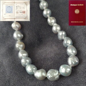 Vo[ p[ (O[) p[ lbNXobNp[ Ίӕʏ Vo[ NXv fB[X ^ {^ p[ lbNX ^ ARp[ 嗱 O[p