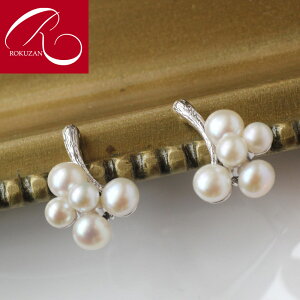 yX[p[Z[N[|LzyRz Vo[ Wp[ CO sAXNU SV925 Vo[WG[ AeB[NWG[ ANZT[ AeB[N bL[ACe 