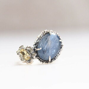 yX[p[Z[N[|LzyEBAEXzVo[ `[EF JCiCg  Vg OR William morris NU Rokuzan AeB[NfUC Vo[WG[ 