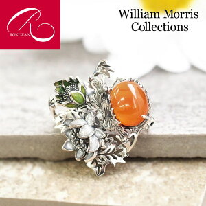 yX[p[Z[N[|LzyEBAEXzVo[ NC ߂̂ u[` R WilliamMorris NU Rokuzan Vo[WG[ AeB[NWG[ ANZT[ a 