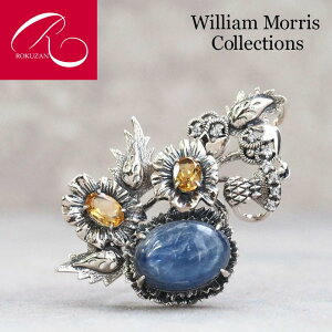 yEBAEXzVo[ `[EF JCiCg  Vg u[` R WilliamMorris NU Rokuzan Vo[WG[ ANZT[ a J[Xg[ p[Xg[