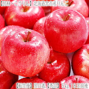 【りんご 北海道産 送料無料】 【昂林 こうりん】余市産 リンゴ 5kg 18玉前後【空輸】収穫日発送【翌日】お届け！甘みが違う。【秀品 甘みは強く】酸甘のバランスは最高傑作！【北海道ブラ