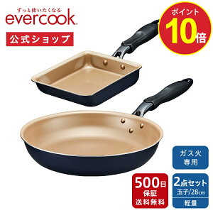 y20%OFF{|Cg10{zyzevercook Go[NbN KXΐp tCp 2_Zbg lCr[ ۏ b ʎqĂ 28cm KXΐpX^_[hV[Y KXΉ KX y