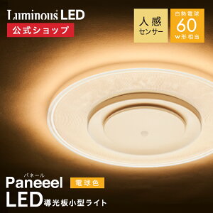�_�|�C���g10�{�^�y�����ʔ́zPaneeel(�p�l�[��) ���~�i�X LED �������^���C�g �l���Z���T�[���� 60W���� �d���F GSL-Y60LS �b �ߓd �ȃG�l ������ �ȒP��t LED���C�g �V��Ɩ� �Ɩ���� ���^ �y��