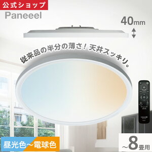 �_10%OFF�{�|�C���g10�{�^�y�����ʔ́z Paneeel Super Slim ( �p�l�[�� �X�[�p�[�X���� ) LED �V�[�����O���C�g �`8���p �������F���f�� SS40-B08DS �b ���^ �X���� �����^ �ȒP���t�� �����R���t�� �V