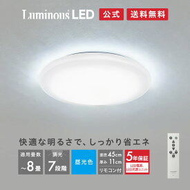 【公式通販】＜5年保証＞ Luminous ( ルミナス ) LED シーリングライト 8畳用 RT45-X08DX｜3800ルーメン 調光7段階 昼光色 常夜灯 節電 簡単取付 リモコン付き おやすみタイマー メモリ機能 天井照明 ドウシシャ