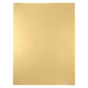 LOW fbNX|Pbg A2^e^ 2E4ij