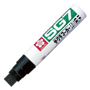 TNNpX }[J[SG7 ɑ(ʐF)17mm