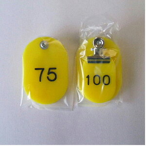 NE eqD 21gEX`[ 51`100ԁij