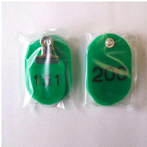 NE eqD 21gEX`[ 151`200ԁi΁j