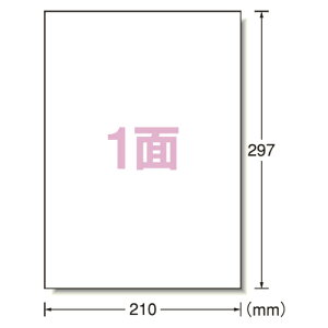 G[ PPCiRs[jx 500 Ki:A41