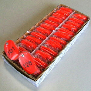 NE eqD 21gEX`[ 101`150ԁiԁj