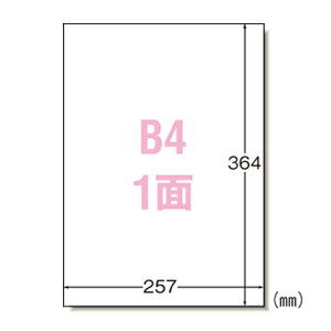 エーワン ラベルシール〈プリンタ兼用〉 マット紙 ノーカットタイプ 規格:B4判1面