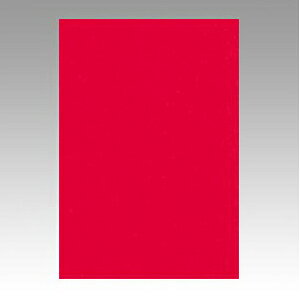 文運堂 ニューカラーR 八ツ切(あか)